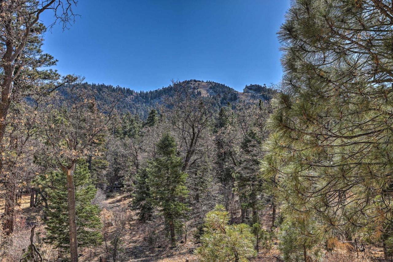 Chocolate Moose Cabin Short Walk To Slopes Vila Big Bear Lake Exterior foto