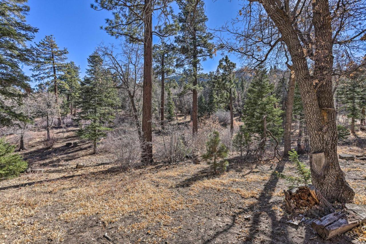 Chocolate Moose Cabin Short Walk To Slopes Vila Big Bear Lake Exterior foto